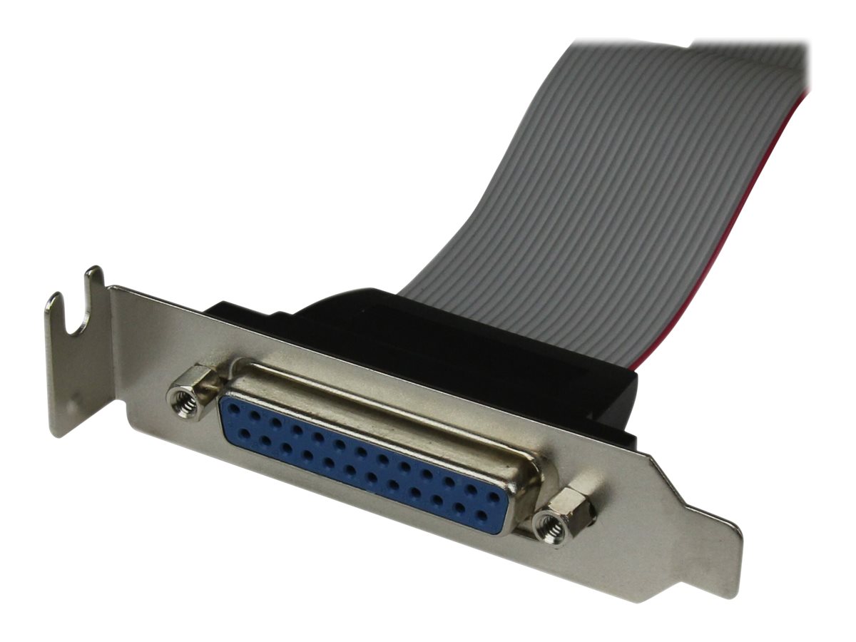 StarTech.com Cable adaptateur de carte mere a faible encombrement avec port parallele, 40 cm, avec support - DB25 (F) vers IDC26 - Panneau parallèle - DB-25 (F) pour IDC 26 broches (F) - 40.64 cm - gris - PLATE25F16LP - Câbles parallèles