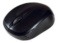Verbatim Wireless Mouse GO NANO - Souris - optique - sans fil - RF - récepteur sans fil USB - noir - 49042 - Souris
