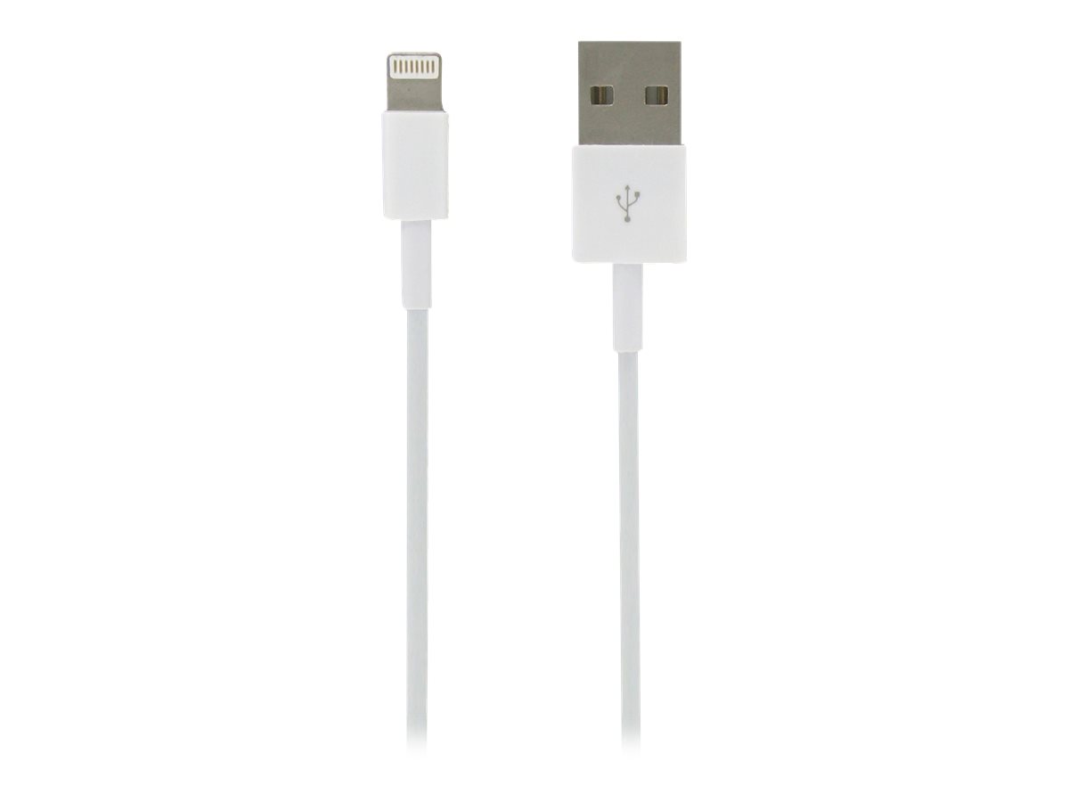 DLH - Câble Lightning - USB mâle pour Lightning mâle - 1 m - blanc - DY-TU1704W - Accessoires pour systèmes audio domestiques