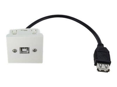Plastron - Plaque - USB Type B - 2061691 - Accessoires de câblage réseau