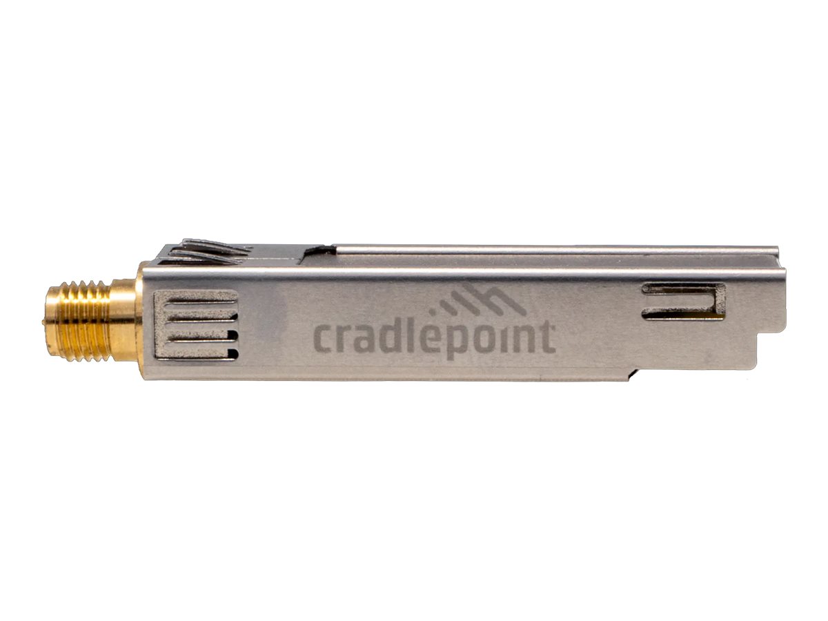 Cradlepoint MC20BT - Adaptateur réseau - Bluetooth 5.1 LE - pour Cradlepoint E300, E3000; E300 Series Enterprise Router E300-5GB - BF-MC20-BT - Cartes réseau sans fil