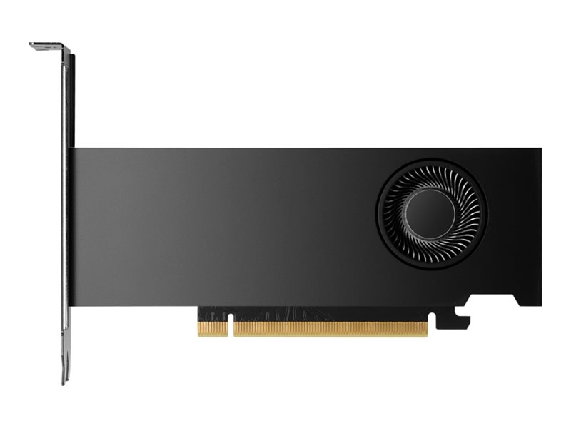 NVIDIA RTX 2000 Ada - Carte graphique - NVIDIA RTX 2000 Ada - 16 Go GDDR6 - 4 x Mini DisplayPort - 8D6B8AA - Adaptateurs vidéo grand public