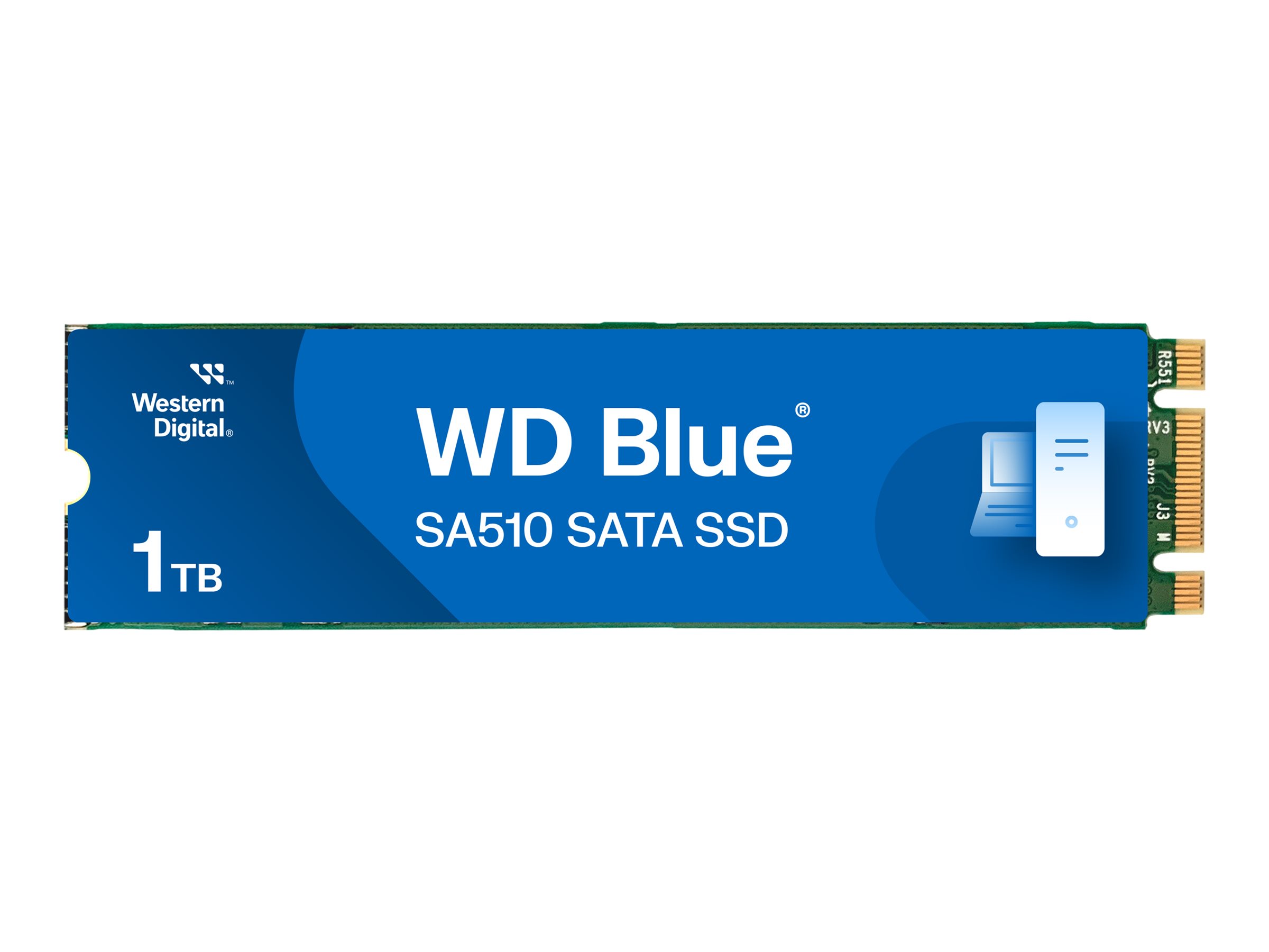 WD Blue SA510 WDS100T3B0B - SSD - 1 To - interne - M.2 2280 - SATA 6Gb/s - bleu - WDS100T3B0B - Disques SSD