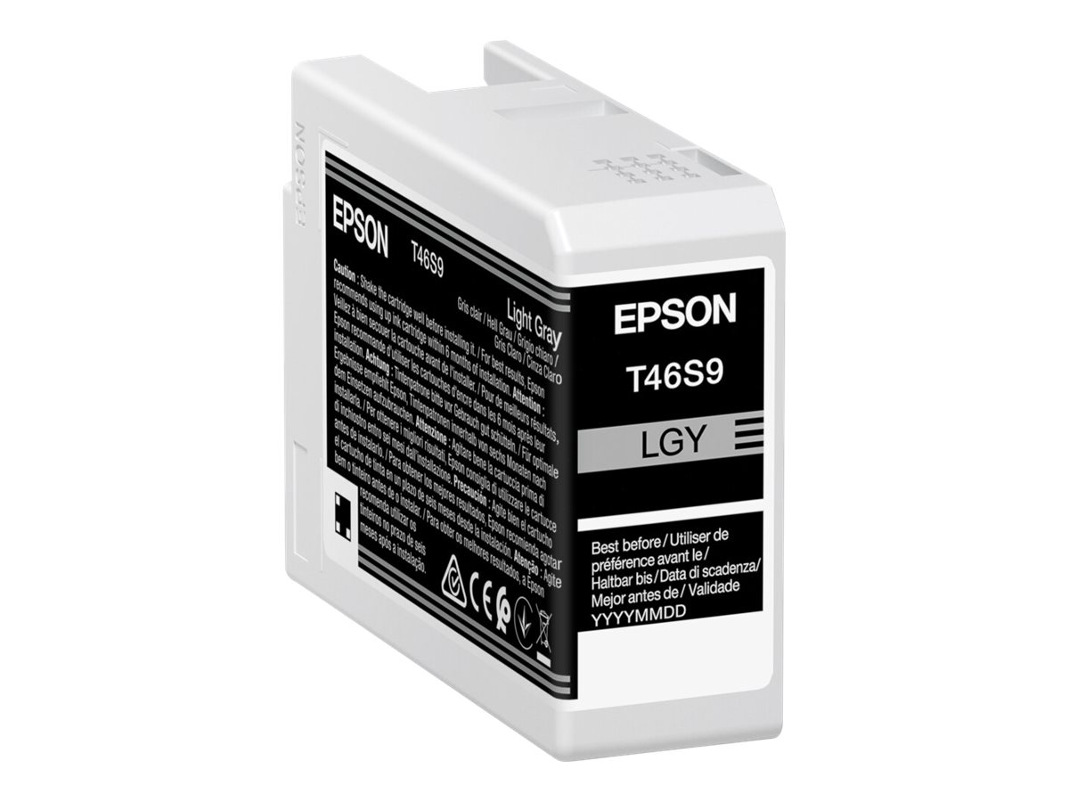 Epson UltraChrome Pro T46S9 - 25 ml - gris clair - original - réservoir d'encre - pour SureColor P706, SC-P700, SC-P700 Mirage Bundling - C13T46S900 - Cartouches d'encre Epson