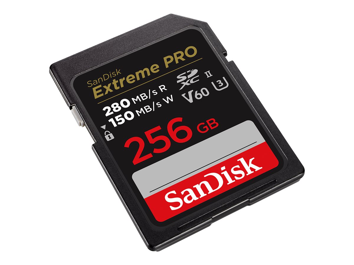 SanDisk Extreme Pro - Carte mémoire flash - 256 Go - Video Class V60 / UHS-II U3 / Class10 - SDXC UHS-II - SDSDXEP-256G-GN4IN - Cartes flash