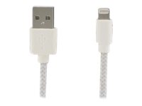 DLH DY-TU1904WG - Câble Lightning - USB mâle pour Lightning mâle - 1 m - gris, blanc - DY-TU1904WG - Câbles spéciaux