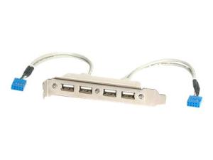 StarTech.com Equerre USB 4 ports - Adaptateur de Slot 4 ports USB 2.0 A Femelle - Panneau USB - USB (F) pour IDC 9 broches (F) - USBPLATE4 - Câbles USB