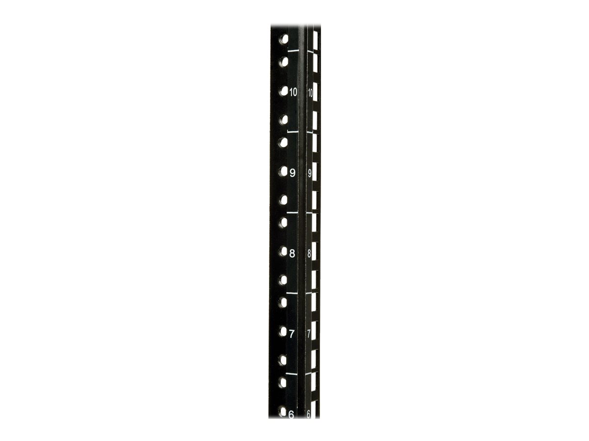 Tripp Lite 10U Wall Mount Rack Enclosure Server Cabinet Hinged w/ Door & Sides - Rack armoire - montable sur mur - noir - 10U - 19" - SRW10US - Accessoires pour serveur