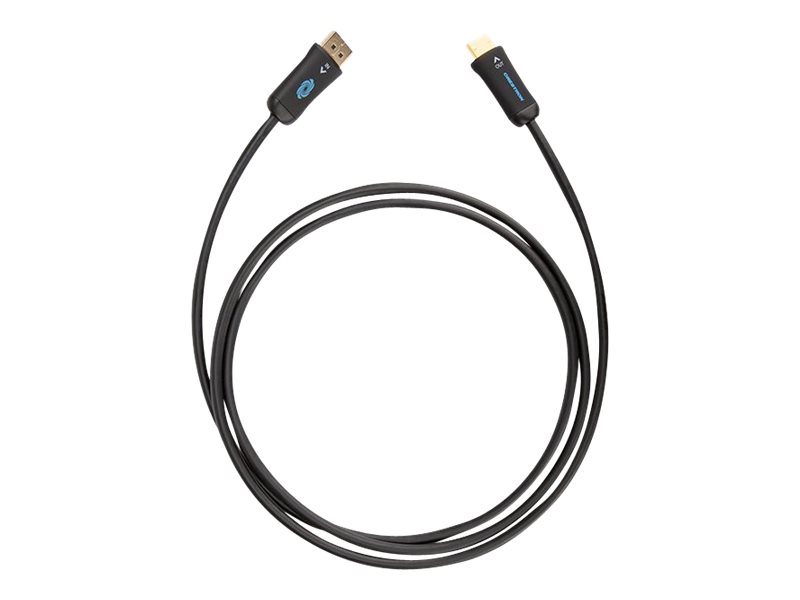 Crestron - Câble adaptateur - DisplayPort mâle pour HDMI mâle - 1.83 m - double blindage - CBL-4K-DP-HD-6 - Accessoires pour téléviseurs