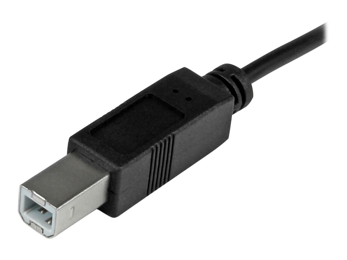 StarTech.com Câble USB 2.0 USB-C vers USB-B de 1 m - Cordon USB C vers B - Mâle / Mâle - Noir - Câble USB - 24 pin USB-C (M) pour USB type B (M) - USB 2.0 - 1 m - noir - pour P/N: HB30A3A1CFB, HB30A3A1CSFS, HB30C3A1CFB, HB30C3A1CFS - USB2CB1M - Câbles USB