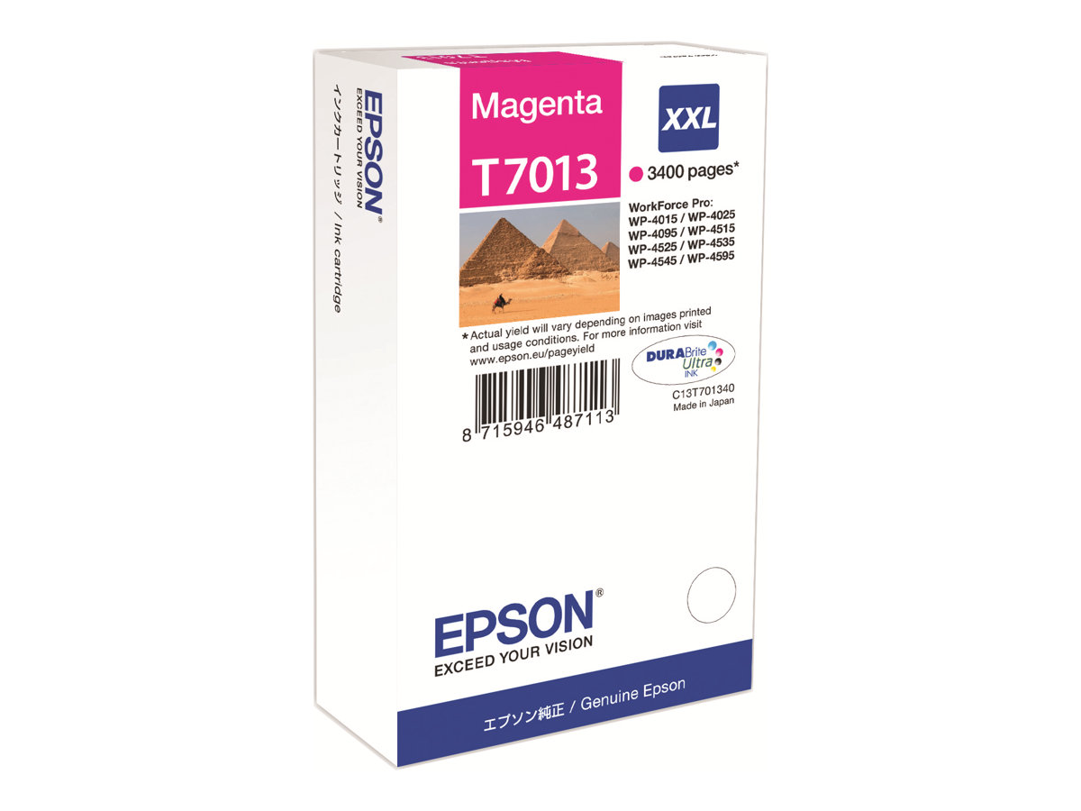 Epson T7013 - 34.2 ml - taille XXL - magenta - original - blister - cartouche d'encre - pour WorkForce Pro WP-4015 DN, WP-4095 DN, WP-4515 DN, WP-4525 DNF, WP-4595 DNF - C13T70134010 - Cartouches d'imprimante