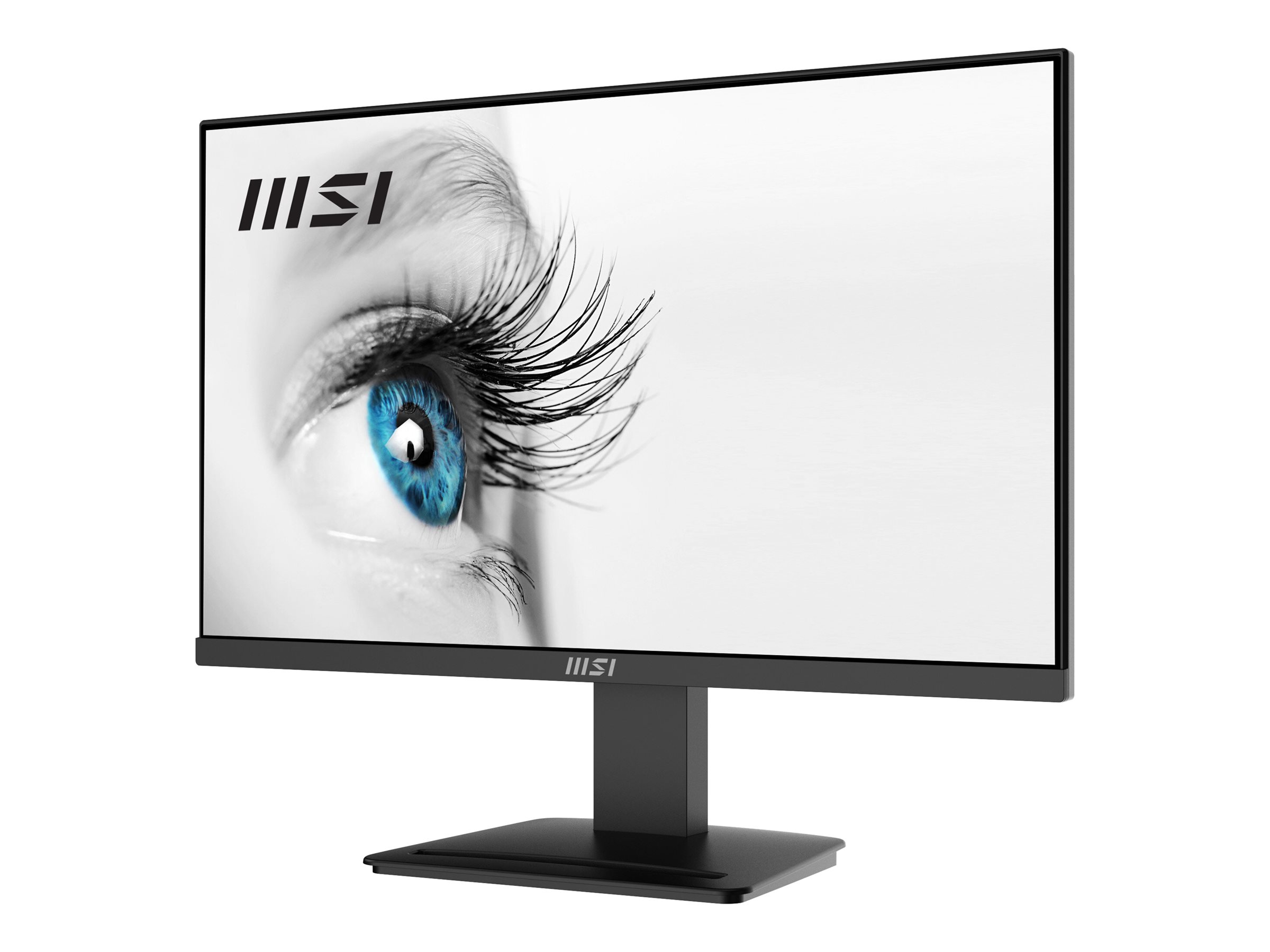 MSI PRO MP2412 - Écran LCD - 24" (23.8" visualisable) - 1920 x 1080 Full HD (1080p) @ 100 Hz - VA - 300 cd/m² - 4000:1 - 1 ms - HDMI, DisplayPort - noir - 9S6-3BA9CH-042 - Écrans d'ordinateur