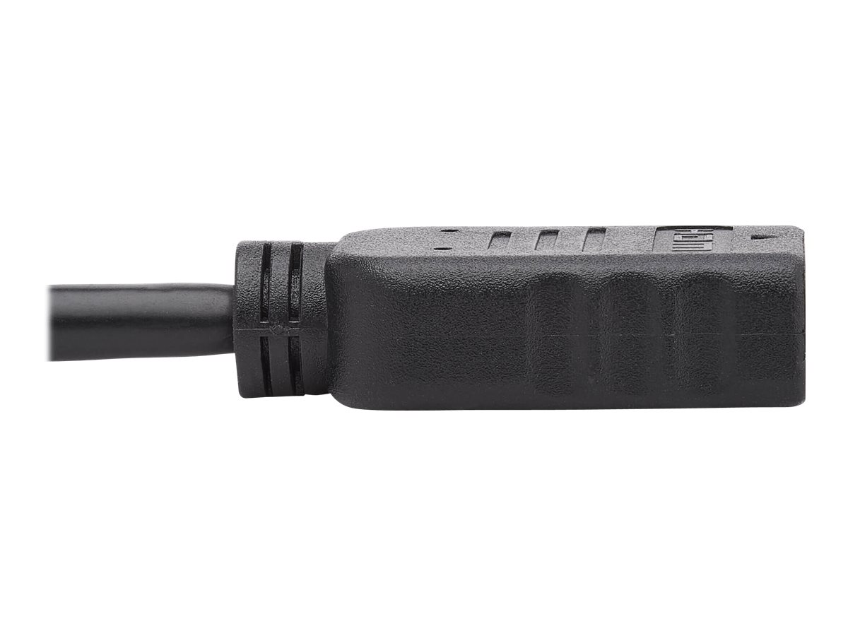 Eaton Tripp Lite Series DisplayPort to HDMI Video Adapter Video Converter (M/F), HDCP, Black, 1 ft. - Adaptateur vidéo - DisplayPort mâle pour HDMI femelle - 30.48 cm - noir - moulé - P136-001 - Accessoires pour téléviseurs