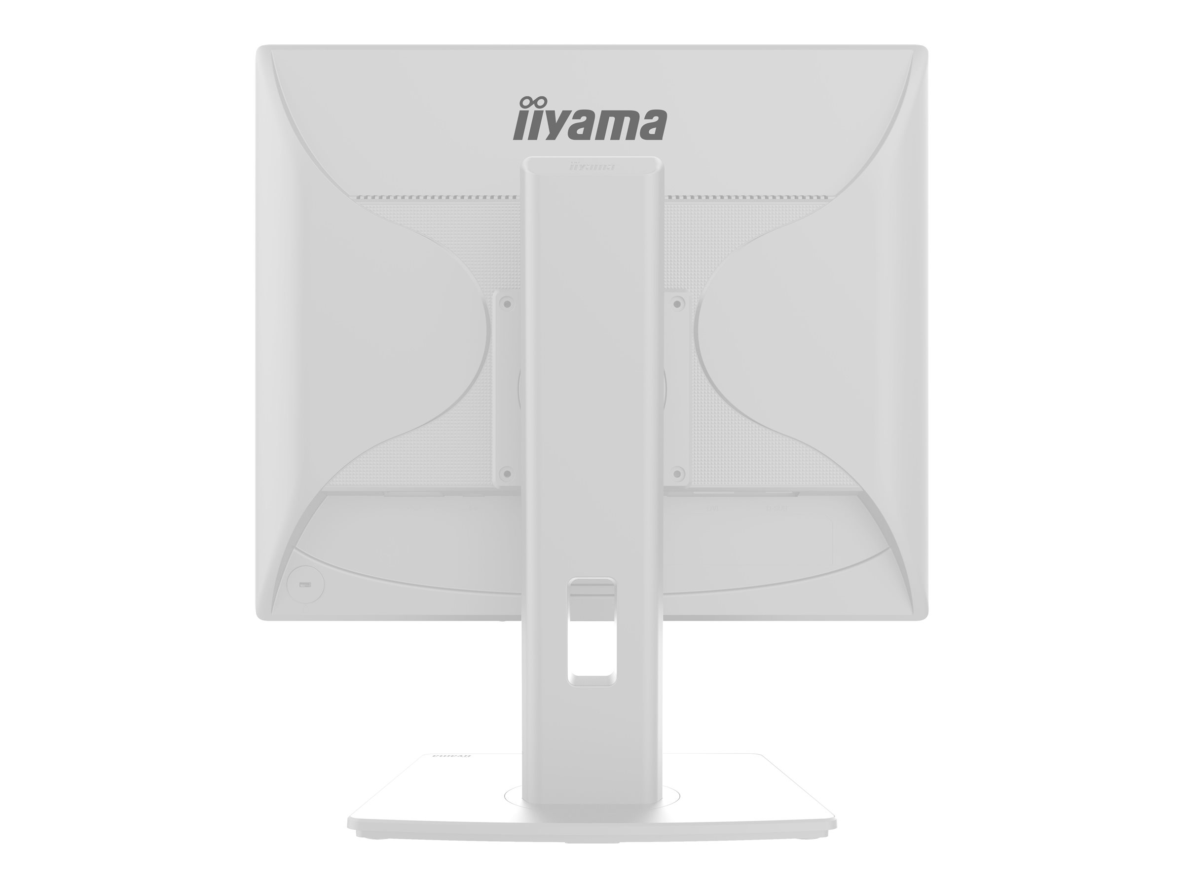 iiyama ProLite B1980D-W5 - Écran LED - 19" - 1280 x 1024 @ 60 Hz - TN - 250 cd/m² - 1000:1 - 5 ms - DVI, VGA - blanc mat - B1980D-W5 - Écrans d'ordinateur
