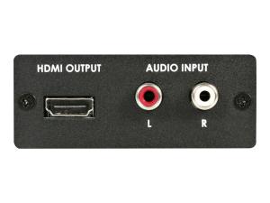 StarTech.com Convertisseur Vidéo Composante YPbPr (YUV) ou VGA et Audio vers HDMI® - PC vers HDMI -  1080p (HDTV) et 1920x1200 (PC) - Convertisseur vidéo - vidéo composante, VGA - HDMI - noir - VGA2HD2 - Convertisseurs vidéo
