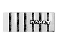 NetApp AFF C-Series AFF-C400 HA - High Availability - Ethernet Kit - serveur NAS - 24 Baies - rack-montable - 100 Gigabit Ethernet - iSCSI support - 4U - AFF-C400A-NS-003 - NAS