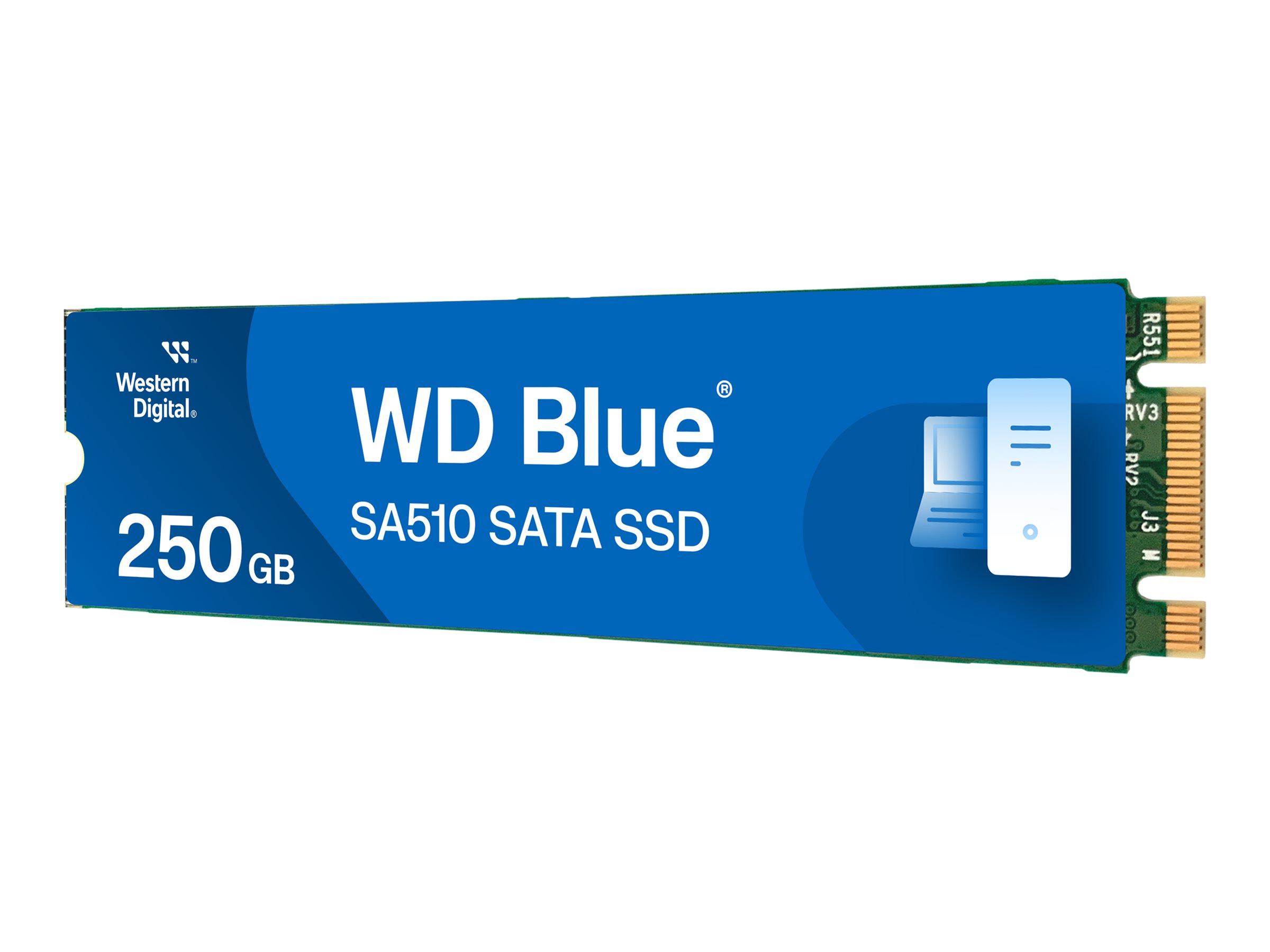 WD Blue SA510 WDS250G3B0B - SSD - 250 Go - interne - M.2 2280 - SATA 6Gb/s - bleu - WDS250G3B0B - Disques SSD
