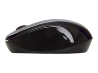 Verbatim Wireless Mouse GO NANO - Souris - optique - sans fil - RF - récepteur sans fil USB - noir - 49042 - Souris
