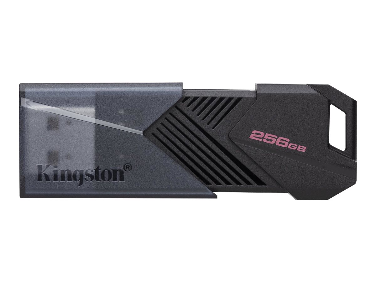 Kingston DataTraveler Onyx - Clé USB - 256 Go - USB 3.2 Gen 1 - noir mat - DTXON/256GB - Lecteurs flash