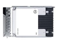 Dell - SSD - Read Intensive - 960 Go - échangeable à chaud - 2.5" - SATA 6Gb/s - pour PowerEdge R340, R440, R640, R650, R6515, R6525, R740, R7425, R750, R7515, R7525, R840 - 345-BDRK - Disques SSD
