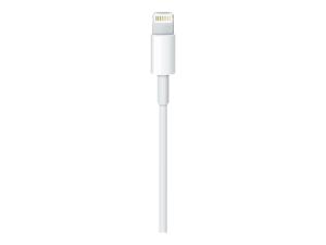 Apple - Câble Lightning - Lightning mâle pour USB mâle - 50 cm - ME291ZM/A - Accessoires pour systèmes audio domestiques