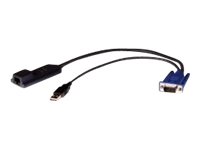 Avocent Module d'interface serveur - Câble de rallonge vidéo / USB (pack de 32) - MPUIQ-VMCHS32 - Prolongateurs de signal