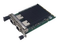 FUJITSU PLAN EP Intel X710-T2L - Adaptateur réseau - 10GbE - pour PRIMERGY RX2530 M6, RX2540 M6 - PY-LA342 - Cartes réseau