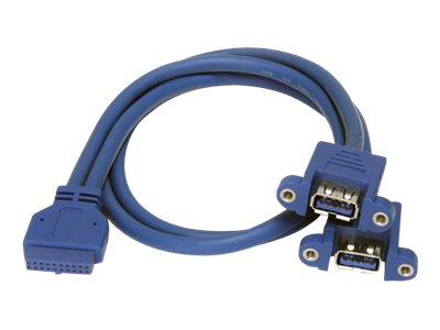 StarTech.com Câble USB 3.0 2 ports monté sur panneau – Câble USB A vers adaptateur carte mère F/F - Câble interne USB vers externe - USB type A (F) pour IDC 20 broches (F) - 50 cm - bleu - USB3SPNLAFHD - Câbles USB