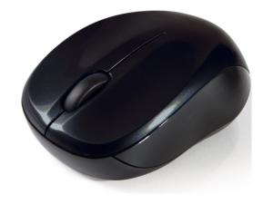 Verbatim Wireless Mouse GO NANO - Souris - optique - sans fil - RF - récepteur sans fil USB - noir - 49042 - Souris