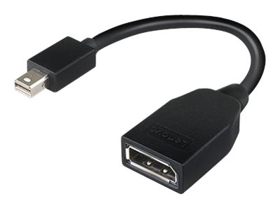 Lenovo - Adaptateur DisplayPort - Mini DisplayPort (M) pour DisplayPort (F) - 17.6 cm - pour ThinkCentre M70; M75t Gen 2; M80; M90; ThinkStation P330 Gen 2; P34X; P350; P520; P620 - 4X90L13971 - Câbles pour périphérique