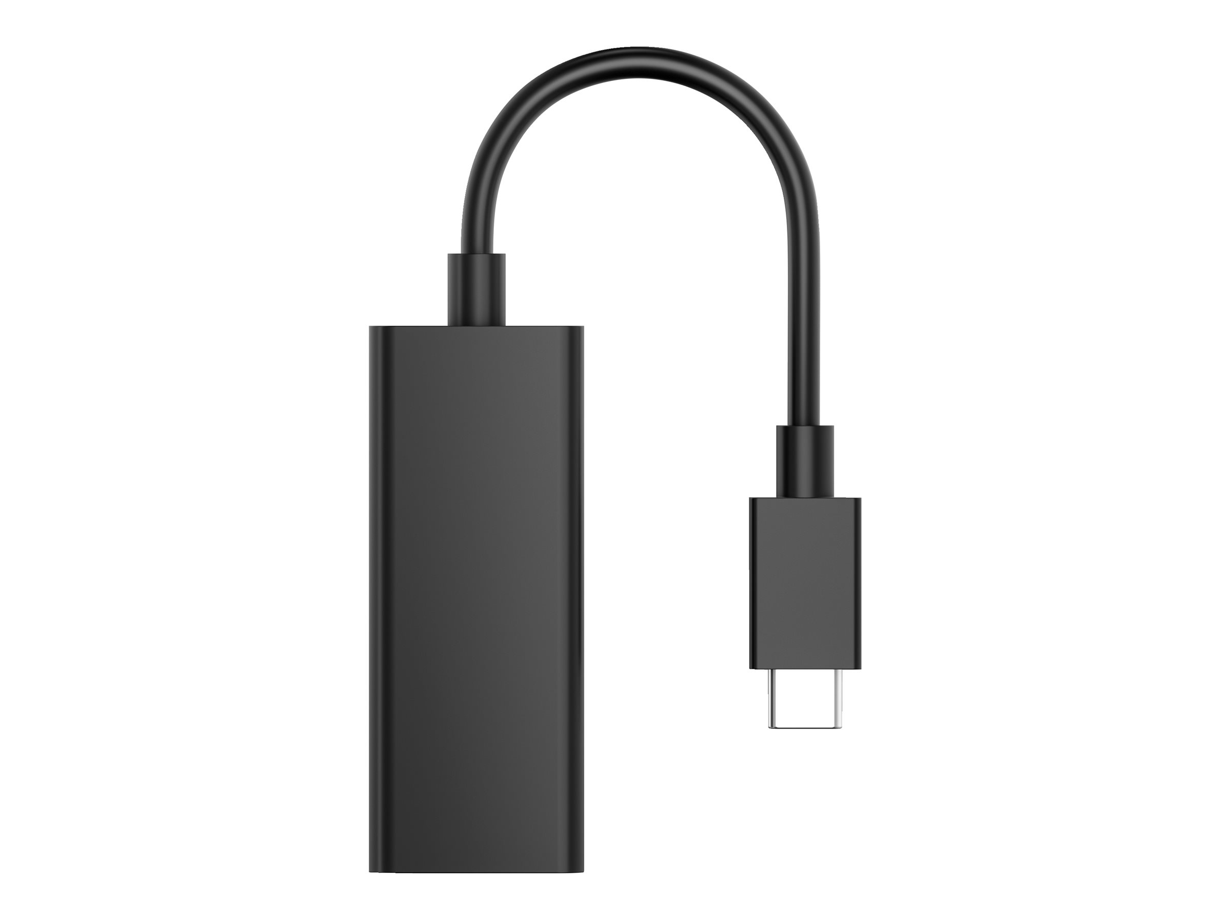 HP G2 - Adaptateur vidéo - 24 pin USB-C pour DisplayPort - noir - 8Y8Y1AA - Câbles vidéo